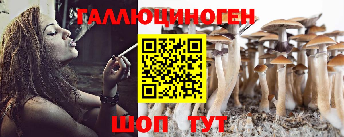 Псилоцибиновые грибы GOLDEN TEACHER Полысаево